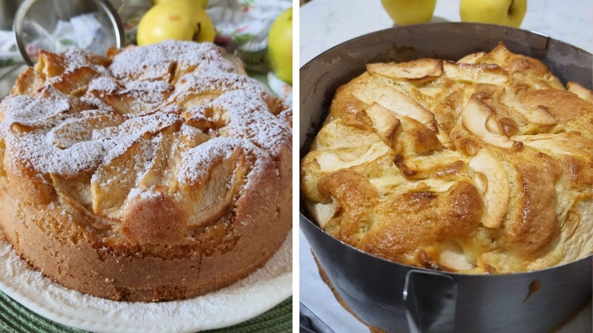 Gâteau moelleux sans beurre aux pommes