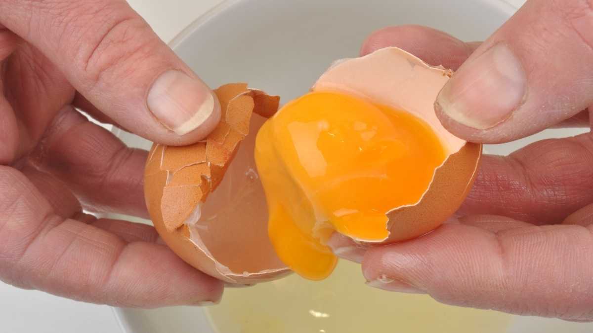 Comment séparer le jaune d'œuf