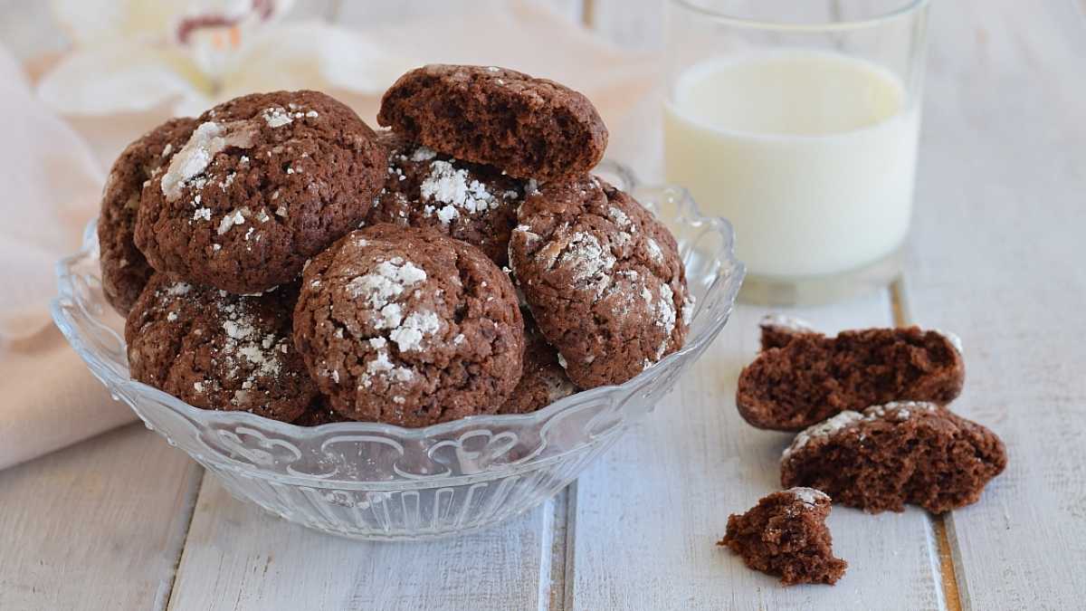Biscuits moelleux au chocolat et yaourt