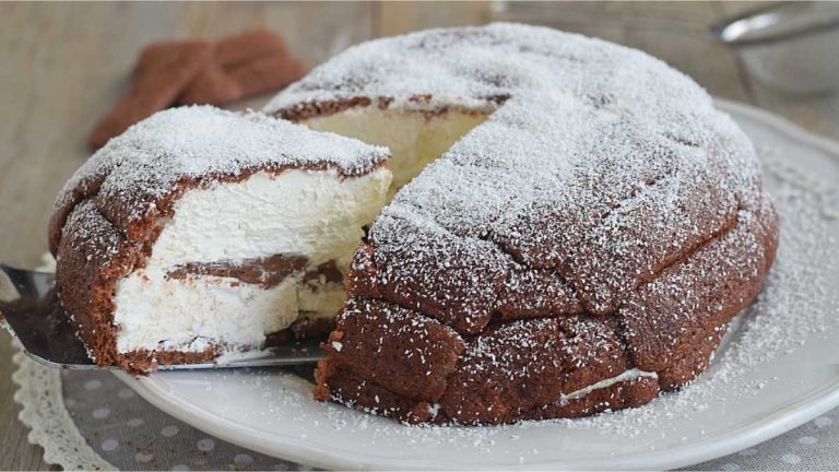 Charlotte à La Noix De Coco Et Au Nutella Sans Cuisson Gourmande Ma Patisserie 