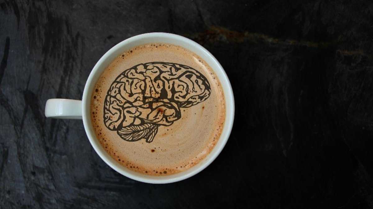 Boire du café est-il bon pour le cerveau ? Voici ce que nous avons découvert !