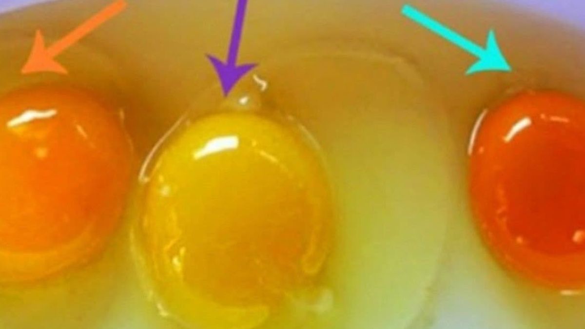 Comment savoir si un œuf est encore frais ou non ?