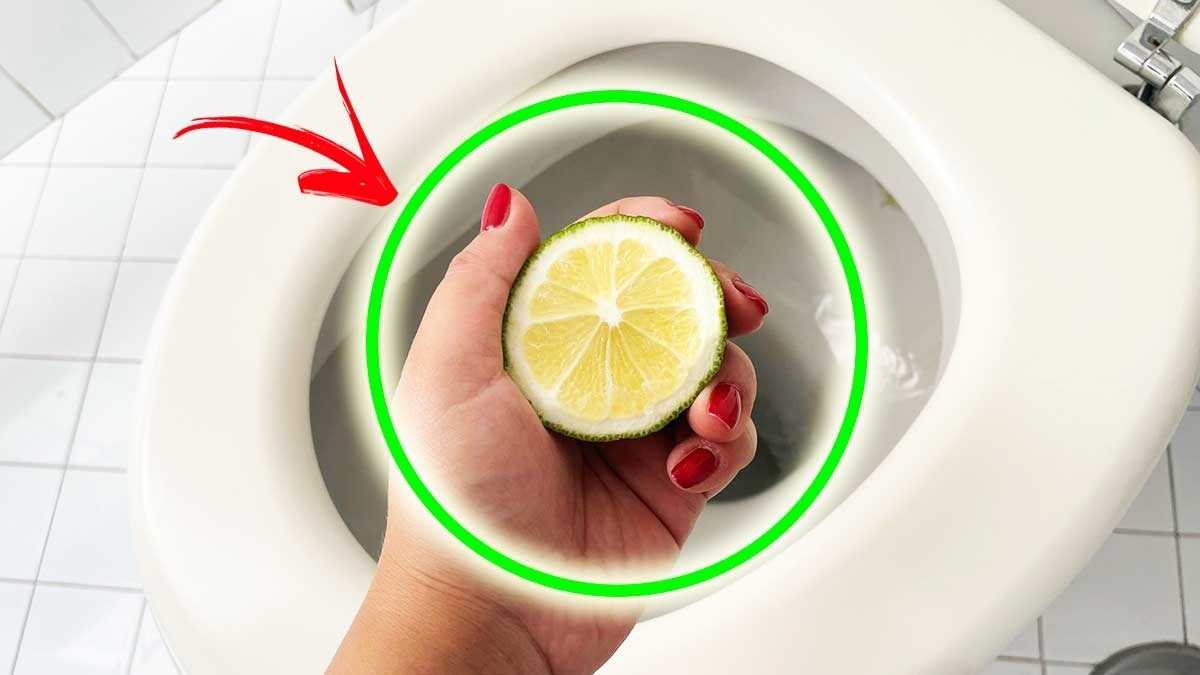 Utilisez uniquement du citron pour gardez vos toilettes blanches
