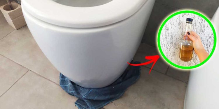 Comment Enlever Les Traces Noires Autour Des Toilettes Sans Endommager Le Sol