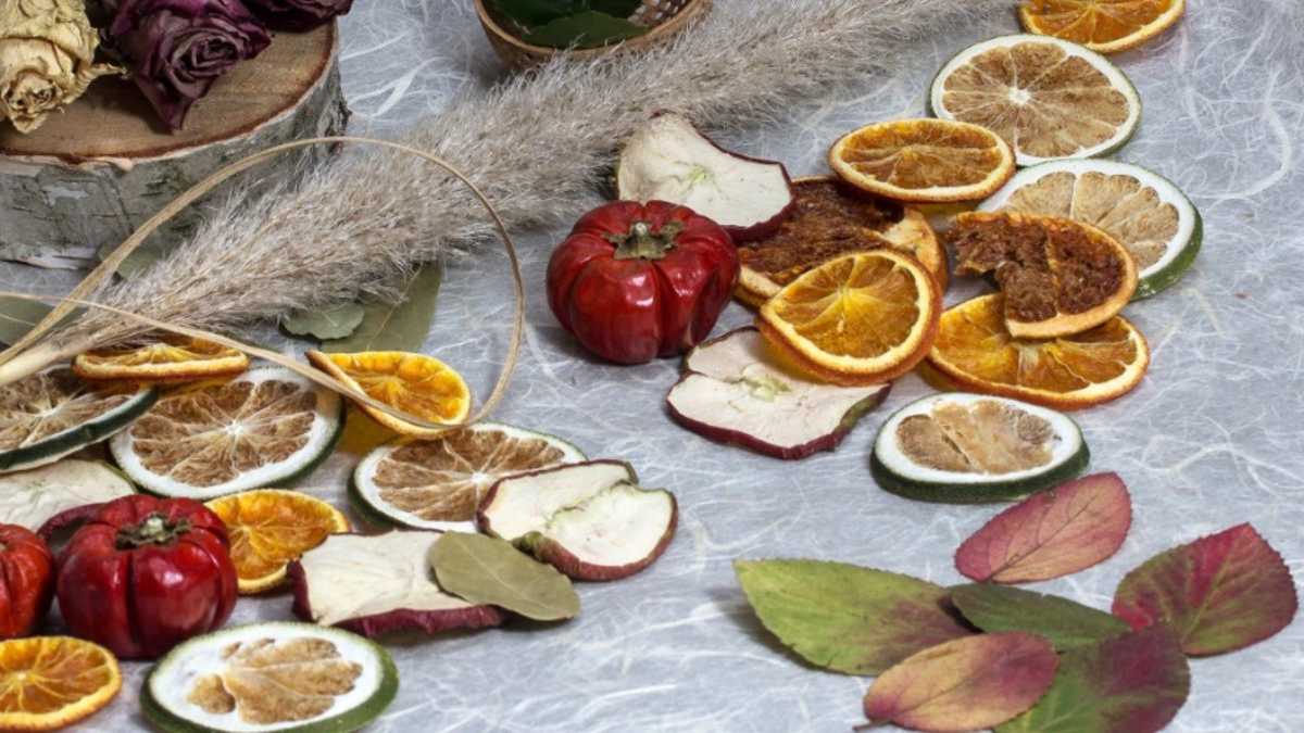 Comment faire sécher les fruits rapidement et facilement ?