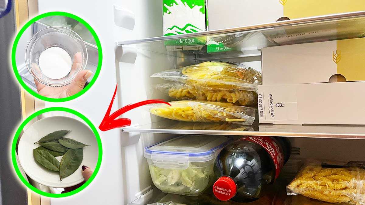 Mauvaise odeur s’échappe de votre réfrigérateur lorsque vous l’ouvre ? 5 astuces faciles pour le parfumer