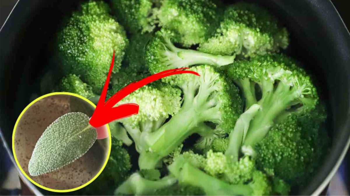 Odeur de brocoli : si vous utilisez cette méthode pendant la cuisson