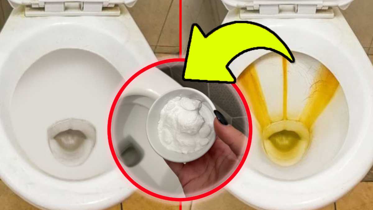 Tartre dans les toilettes : découvrez comment vous en débarrasser en un seul geste !
