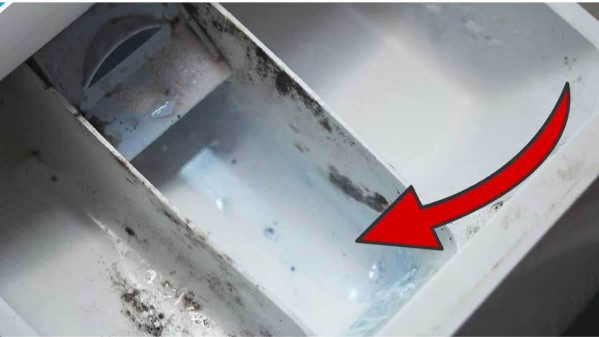 Tiroir de machine à laver sale : découvrez la seule façon de le nettoyer correctement
