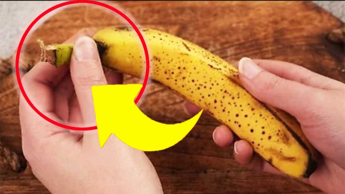 Bananes : ne jetez pas leur peau ni cette partie ! Elles valent de l’or. Méthode vous sera très utile !
