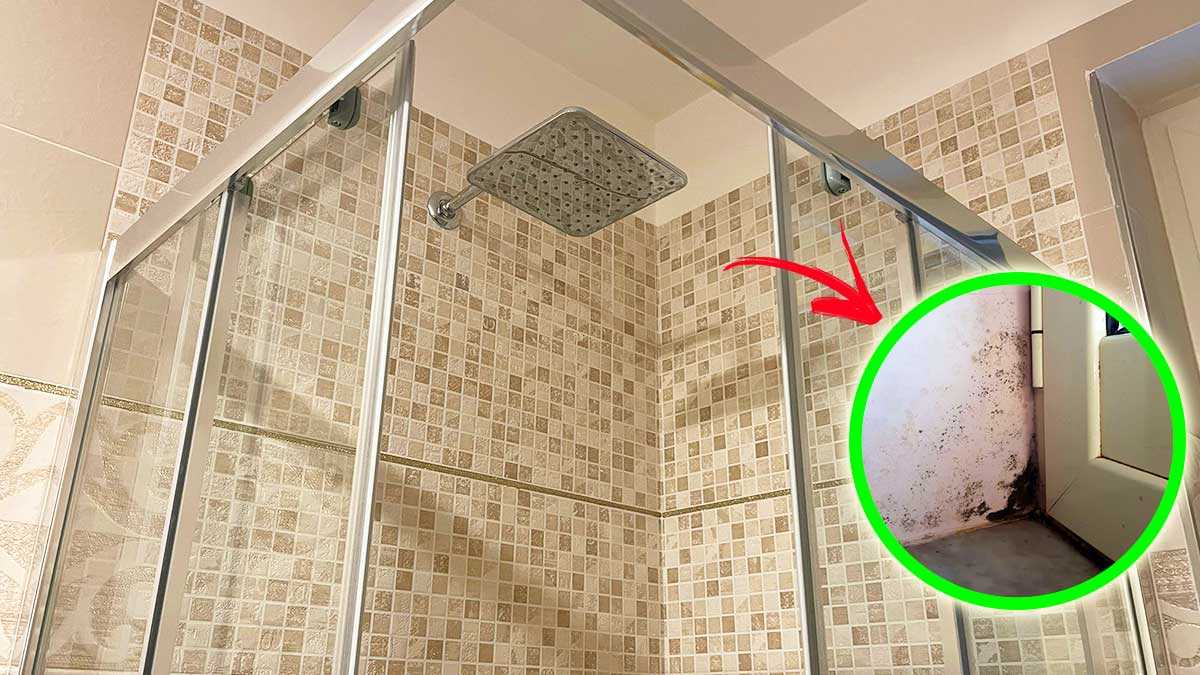 Comment enlever la moisissure des parois de la douche avec 4 + 1 astuces naturelles ?