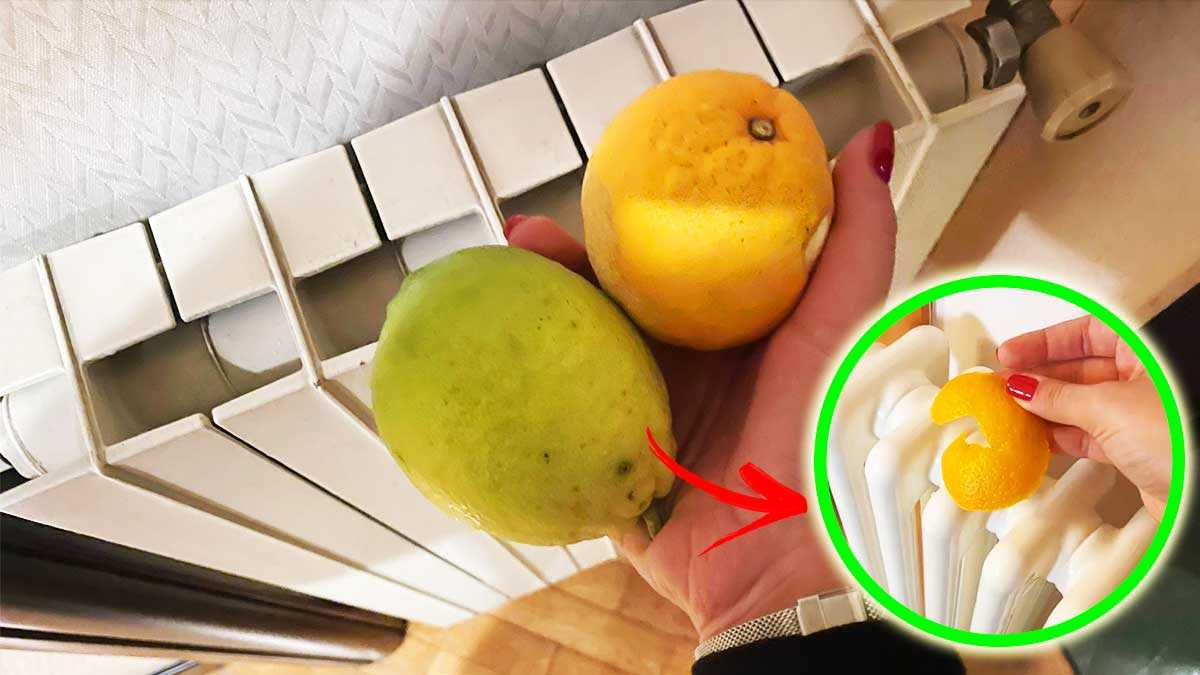 Comment utiliser l'orange et le citron pour avoir un radiateur propre et parfumé ?