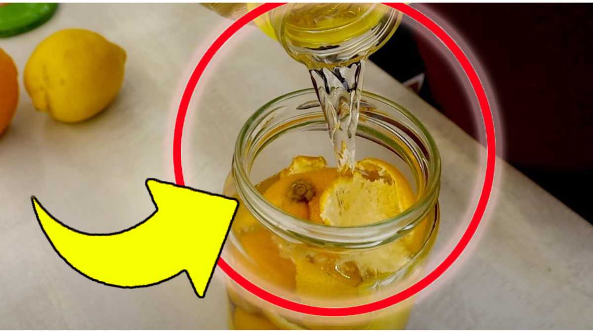 Écorces de citron et d'orange : ne les jetez pas
