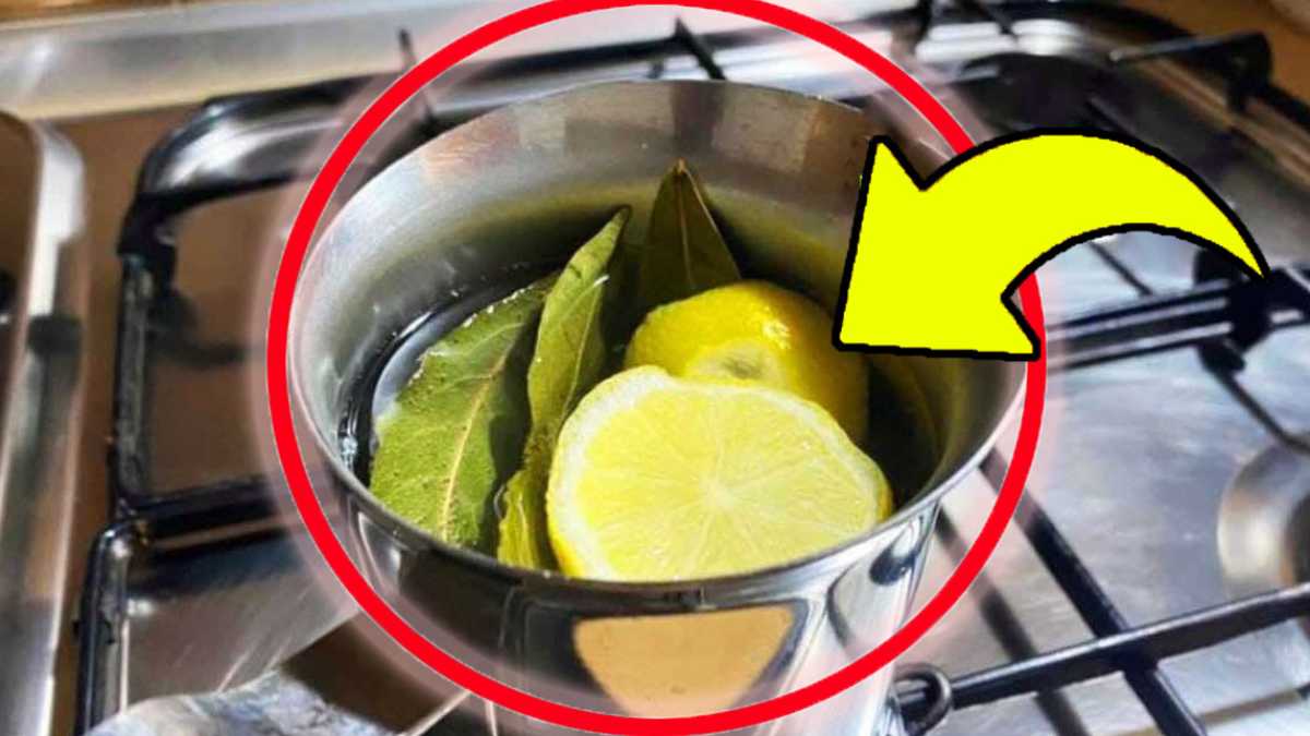 Faire bouillir les feuilles de laurier et le citron : l’astuce que tout le monde utiliser