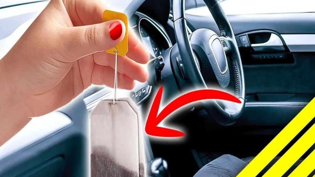 Pourquoi devrez-vous toujours avoir des sachets de thé dans votre véhicule ?