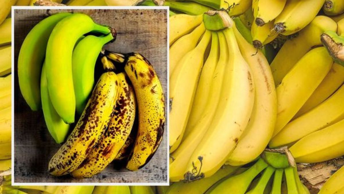 3 astuces de conservation pour avoir des bananes jaunes et fermes - elles ne bruniront plus