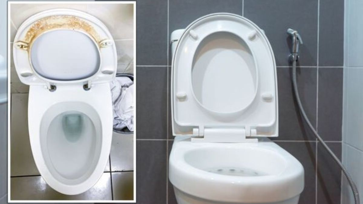 Comment faire disparaître toutes les taches jaunes de votre siège de toilette avec un article de 90 centimes en 5 minutes ?