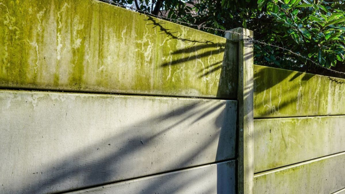 Comment se débarrasser des taches vertes sur la clôture avec un produit de votre cuisine ?