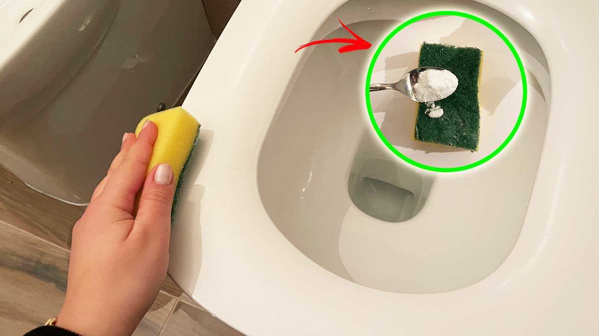 L'astuce naturelle pour blanchir la lunette de vos toilettes en un rien de temps !
