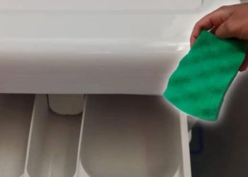 Pourquoi placer une éponge à l’intérieur de votre machine à laver ?