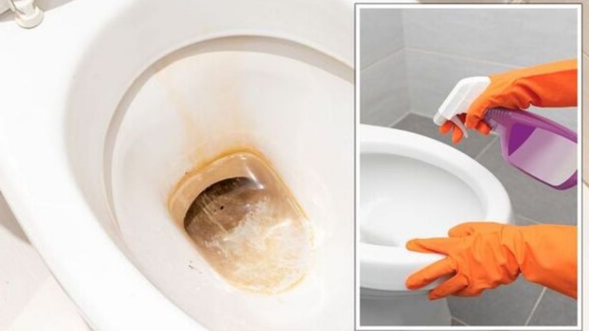 Comment faire disparaître les taches de calcaire qui envahissent vos toilettes avec deux ingrédients de la cuisine ?