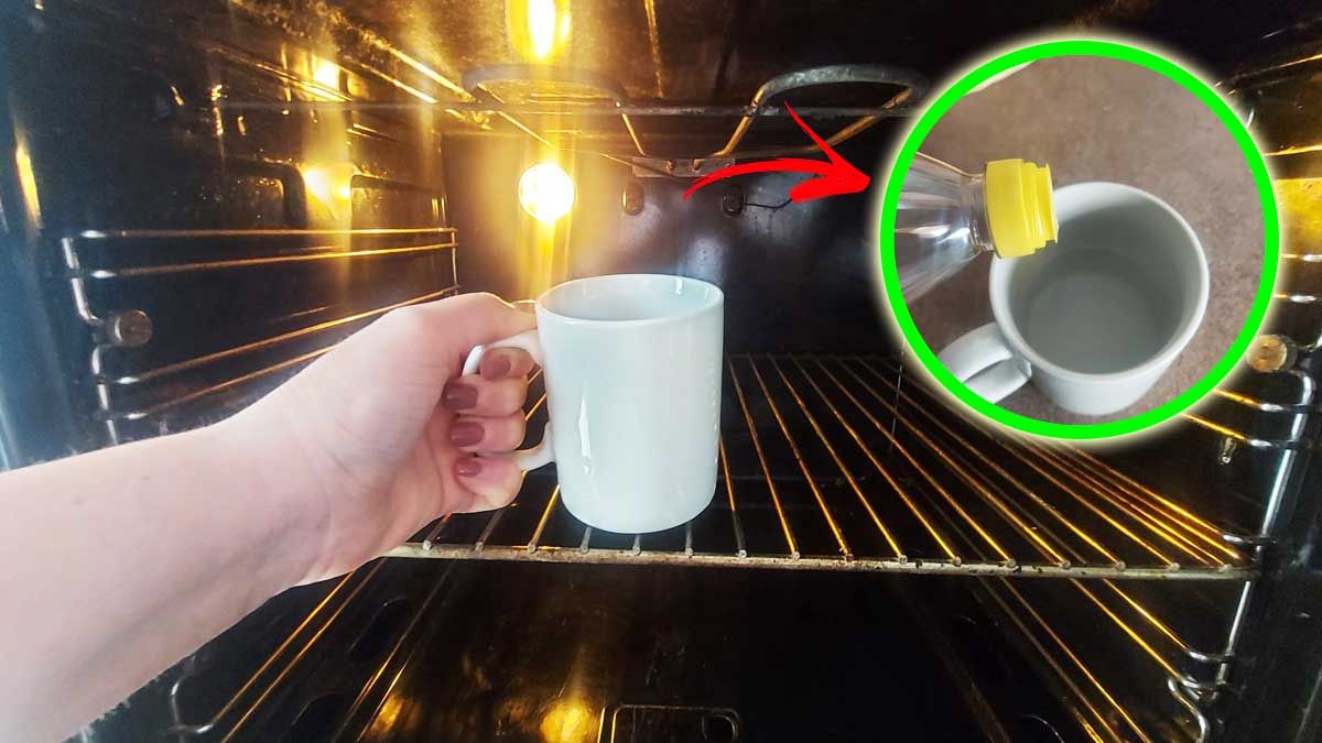 Méthode efficace pour nettoyer l’intérieur de votre four avec une tasse