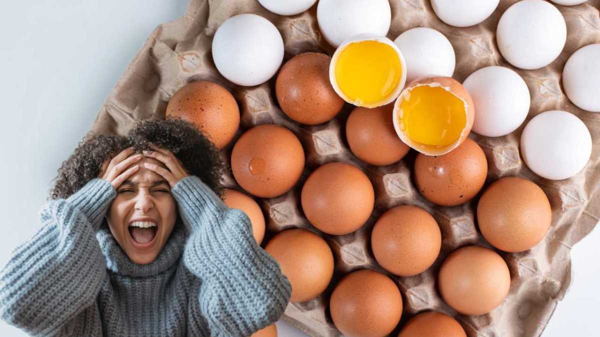 Mettre les œufs au réfrigérateur : une erreur à ne jamais commettre !