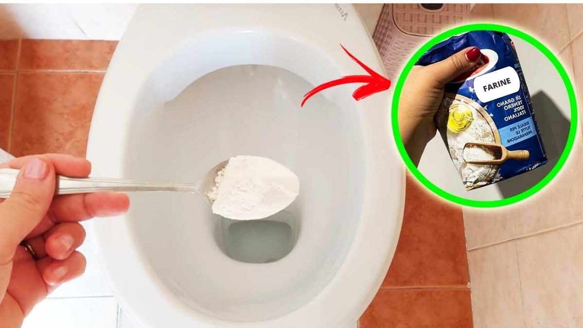 nettoyer le fond de la cuvette des toilettes
