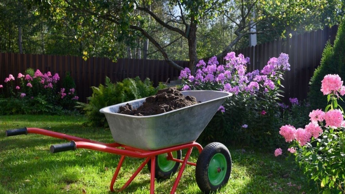 Pelouses de jardin : comment éviter un entretien constant tout en ayant un espace bien vert ?