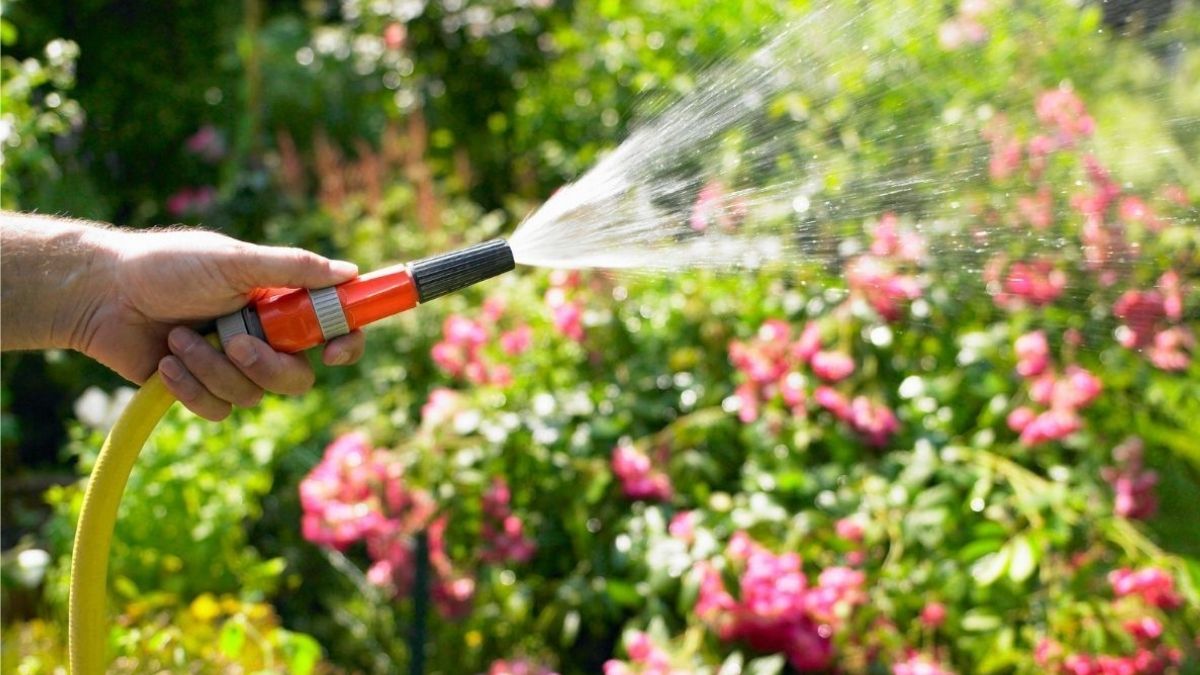 Profitez d’une magnifique floraison de votre jardin en accomplissant ces tâches de jardinage ce weekend