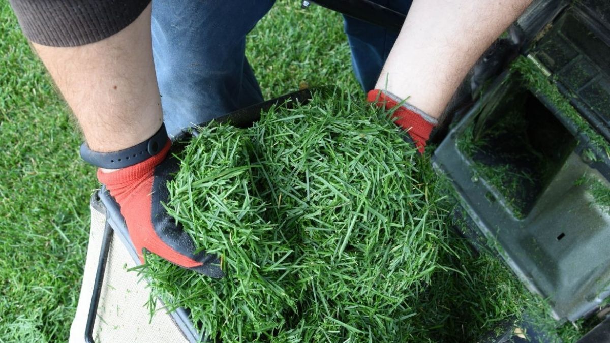 Que faire de l'herbe tondue ? 3 façons de la recycler !
