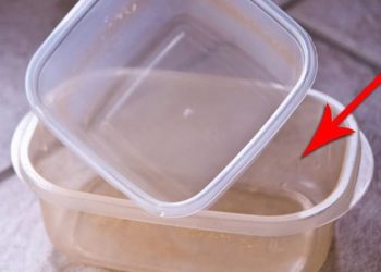 Astuce efficace pour dégraisser et détacher les récipients en plastique