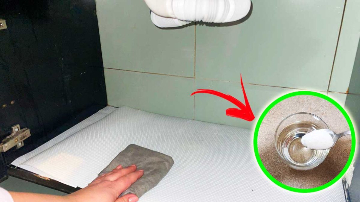 débarrasser de l’odeur d’humidité dans le petit meuble sous l’évier