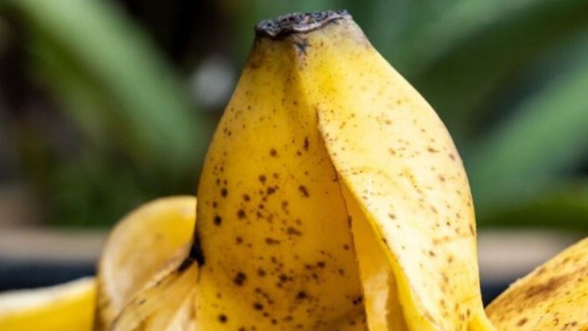 Utilisez la peau d’une banane pour obtenir des plantes vigoureuses et saines