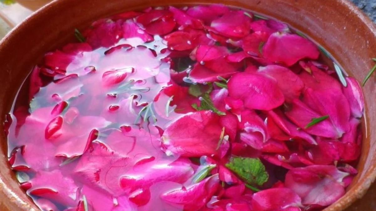 Voici comment fabriquer votre eau de rose en quelques minutes