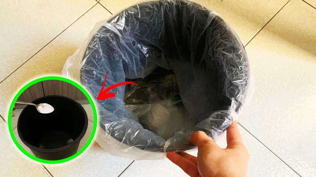 Astuces naturelles pour enlever les mauvaises odeurs de la poubelle  