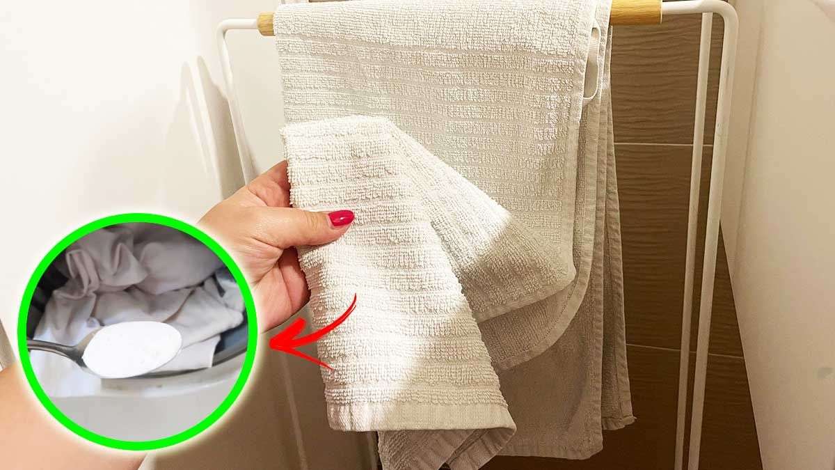 Comment adoucir des serviettes de bain devenues rêches