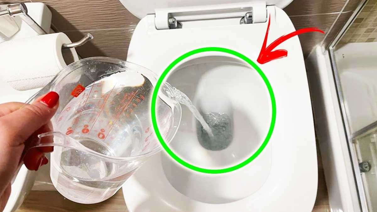 Comment enlever les mauvaises odeurs dans les toilettes