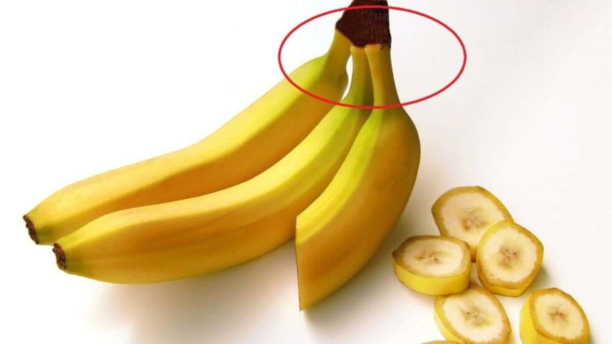 Ne jetez plus la tige de banane nous vous expliquons pourquoi