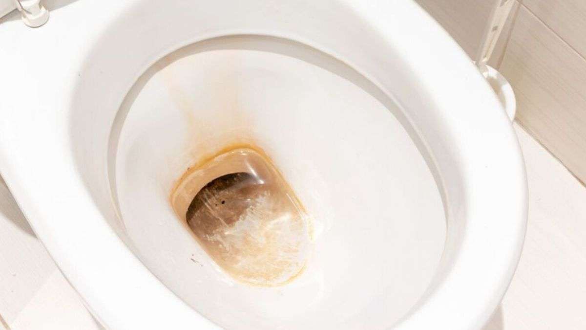 Comment éliminer le calcaire des toilettes : un nettoyant naturel élimine les traces d’eau dure