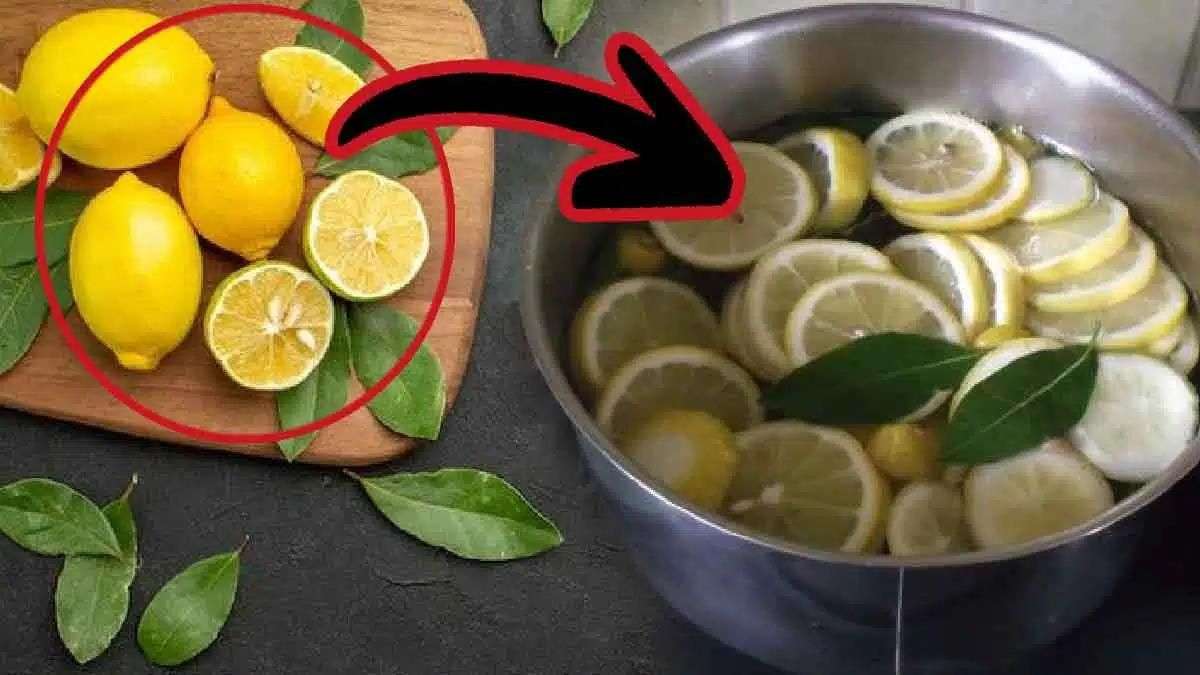 Faites bouillir du citron et des feuilles de laurier ensemble
