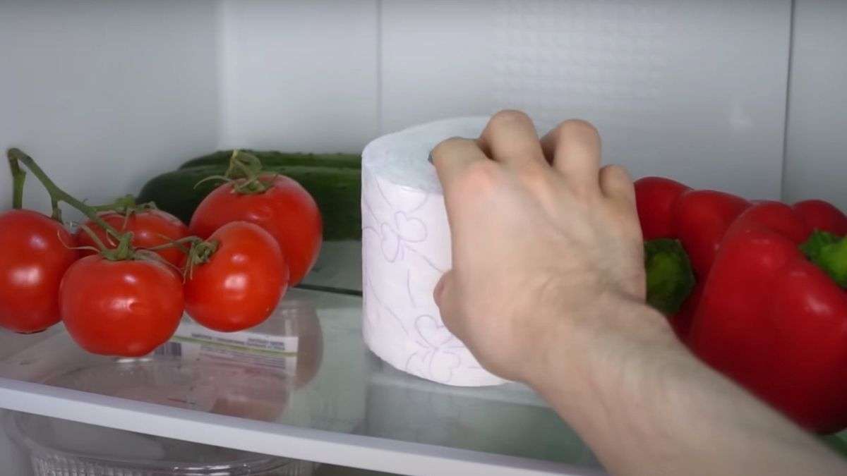 Pourquoi vous devriez garder un rouleau de papier hygiénique dans votre réfrigérateur ?