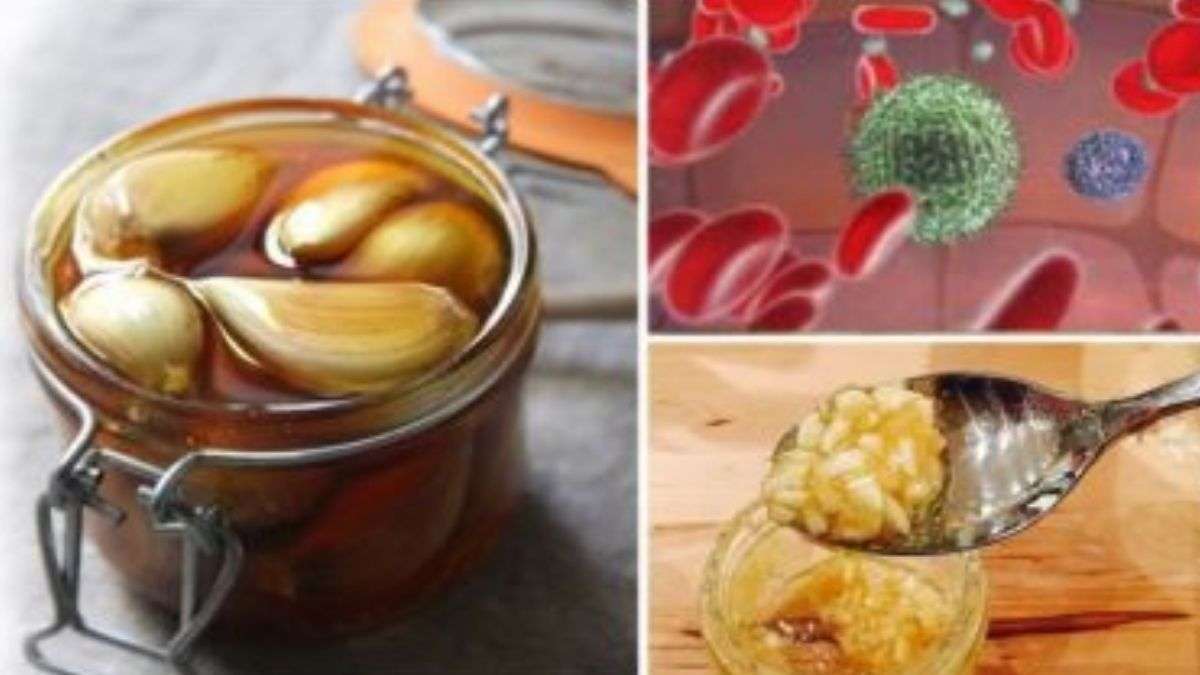 Si vous mangez de l’ail et du miel à jeun pendant 7 jours, voici ce qui arrive à votre corps