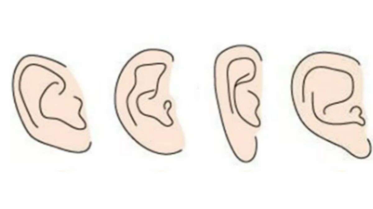 Test de personnalité : la forme de votre oreille révèle vos traits de personnalité cachés