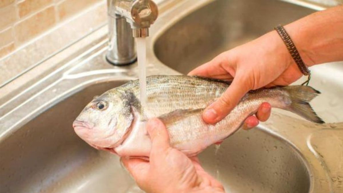 Comment enlever l’odeur de poisson sur les mains