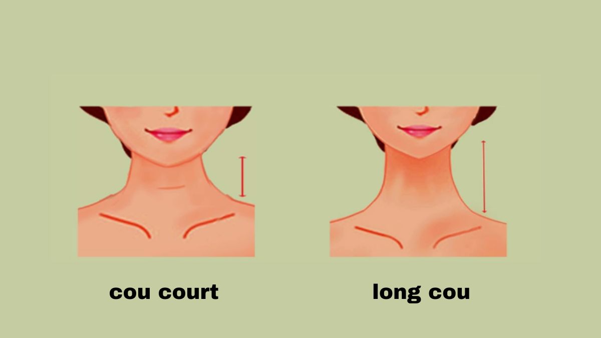Test de personnalité : la forme de votre cou révèle vos traits de personnalité cachés