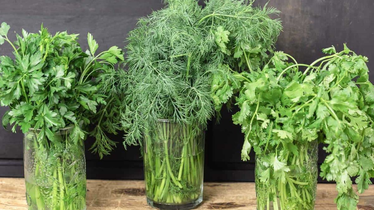 La meilleure façon de conserver les herbes fraîches pour vos recettes