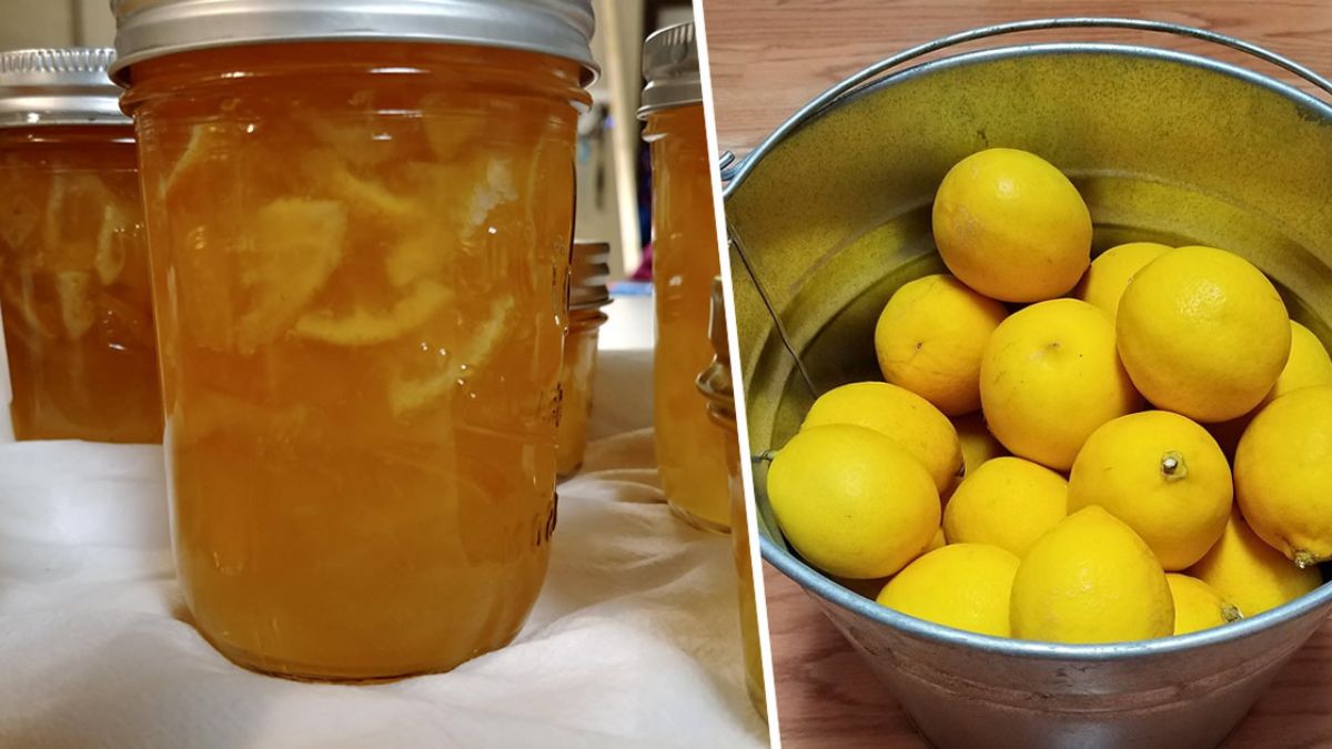 Marmelade de citron maison