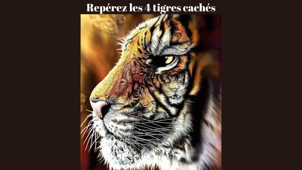 Tu as un talent particulier si tu peux repérer 4 tigres cachés dans l’image en 9 secondes !