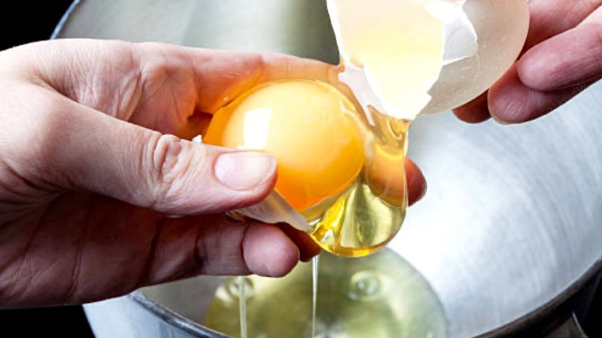 Comment conserver les jaunes d’œufs